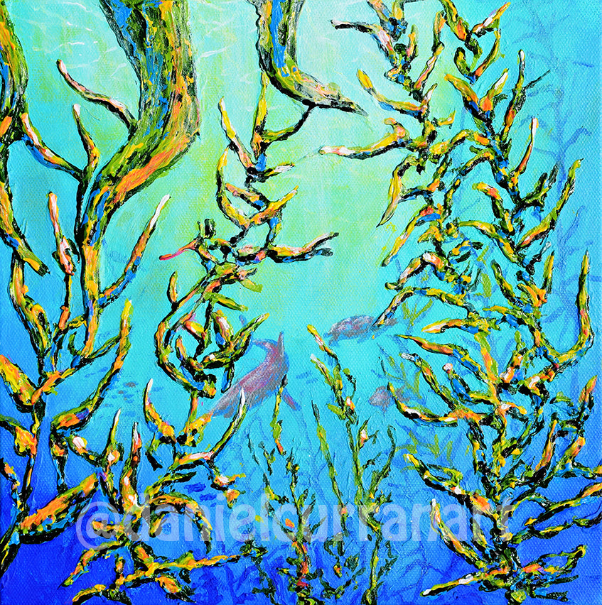 Kelp Forest