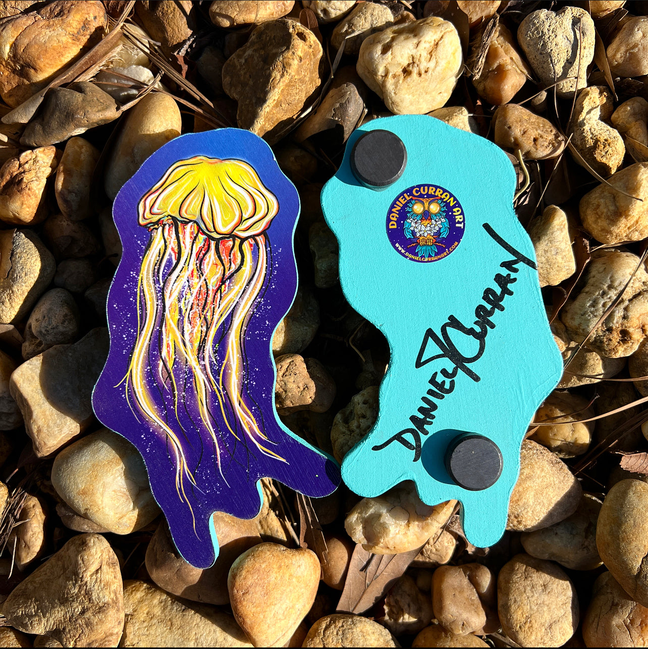 Jellyfish Magnet - Daniel Curran Art