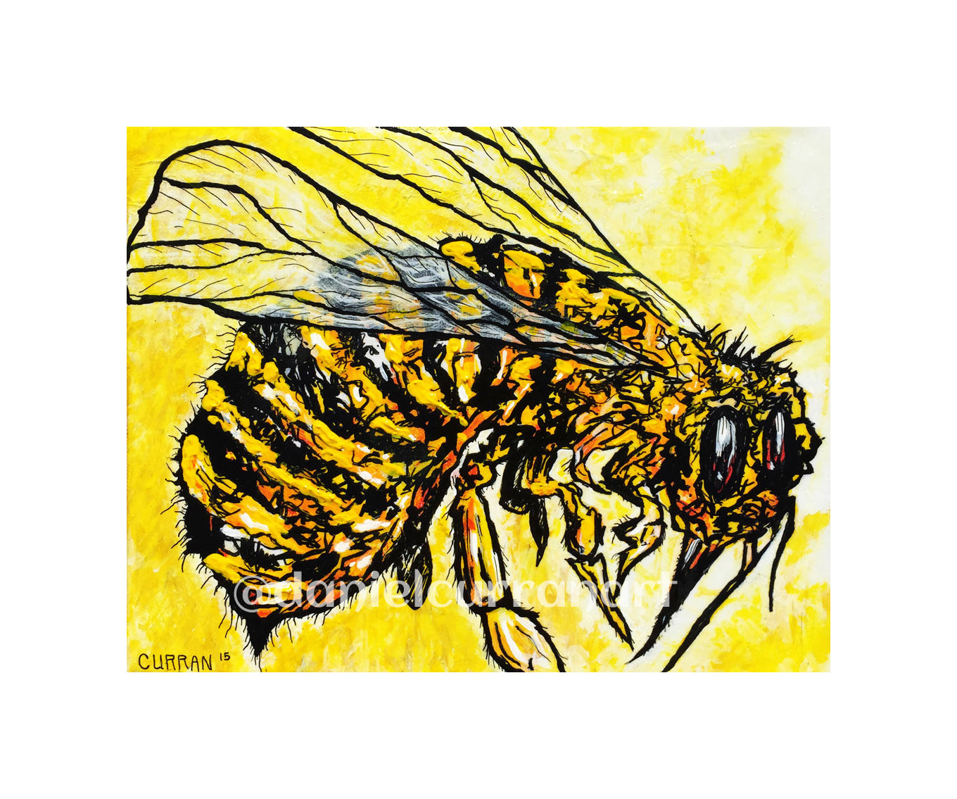 8"x 10" Yellowjacket Print (Matted) - Daniel Curran Art