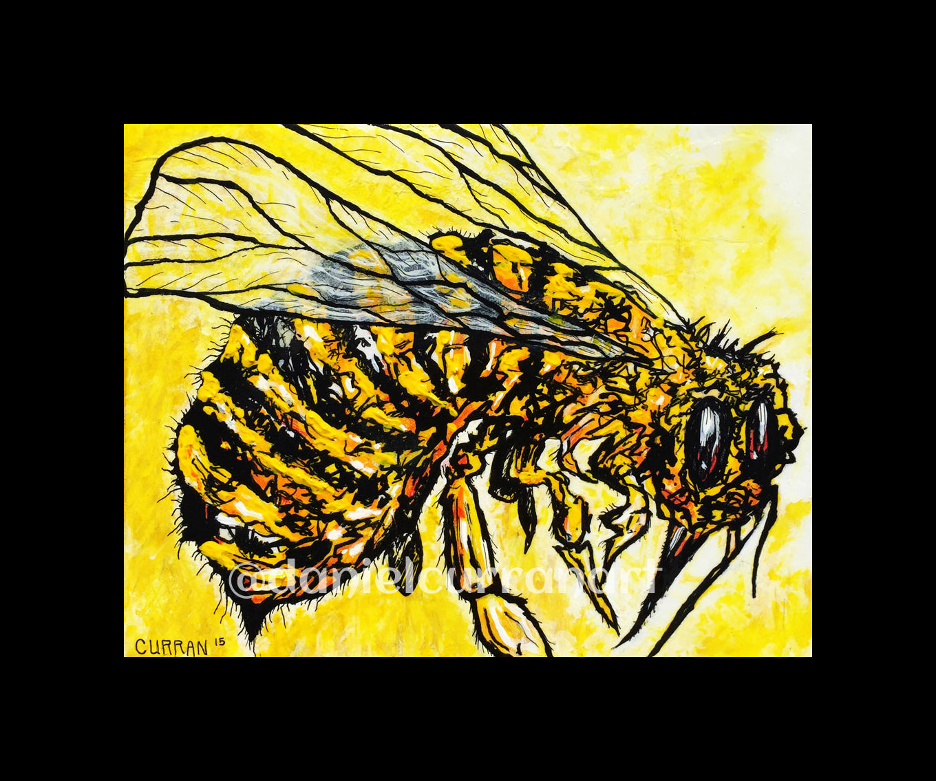 8"x 10" Yellowjacket Print (Matted) - Daniel Curran Art