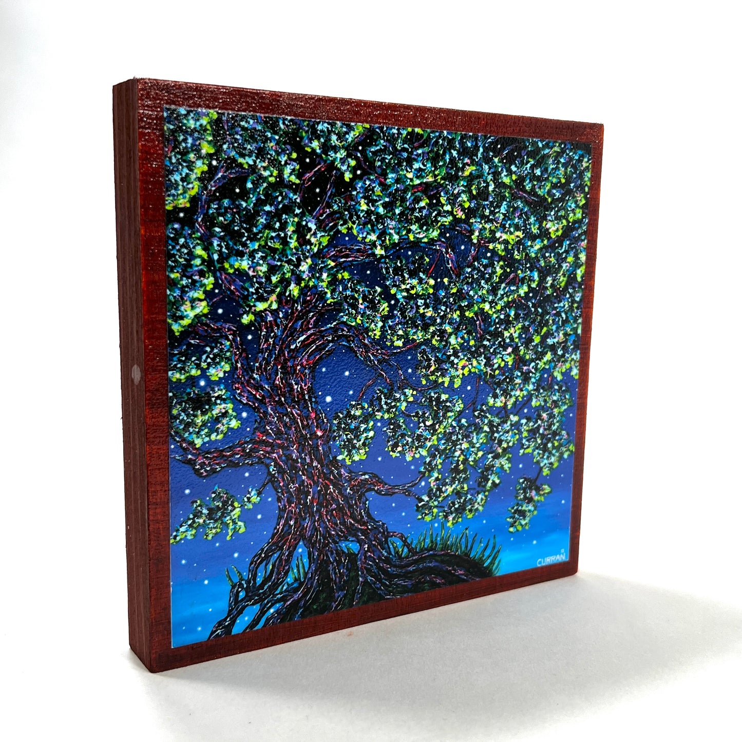 Dreaming Oak wood panel (Limited Edition)