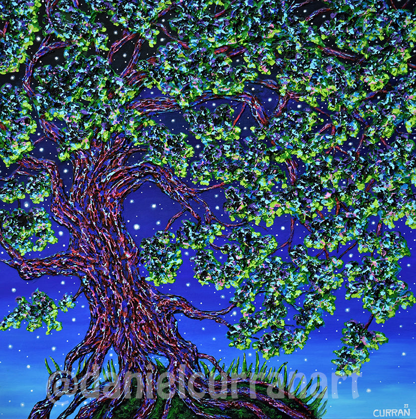 Dreaming Oak Print (Limited Edition)