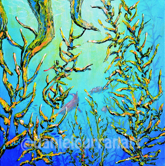 Kelp Forest