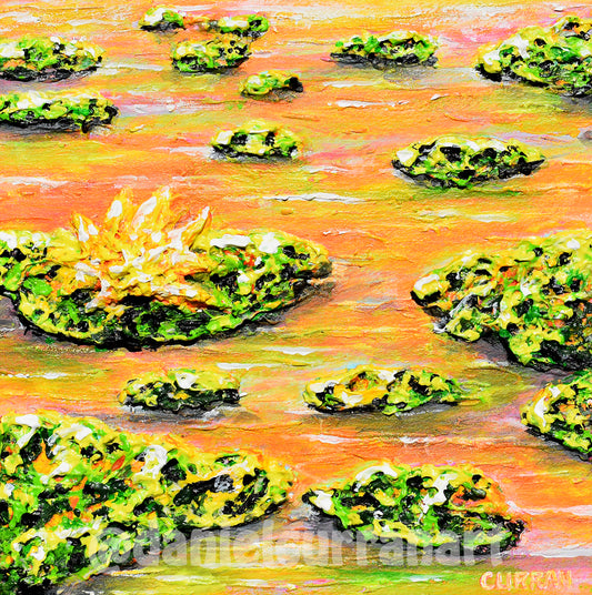 Sunrise Reflection 1