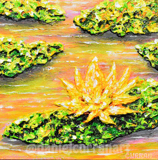 Sunrise Reflection 2