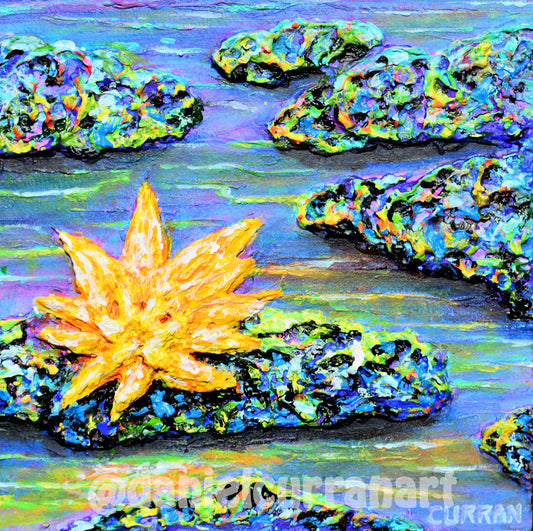 Twilight Reflection 2