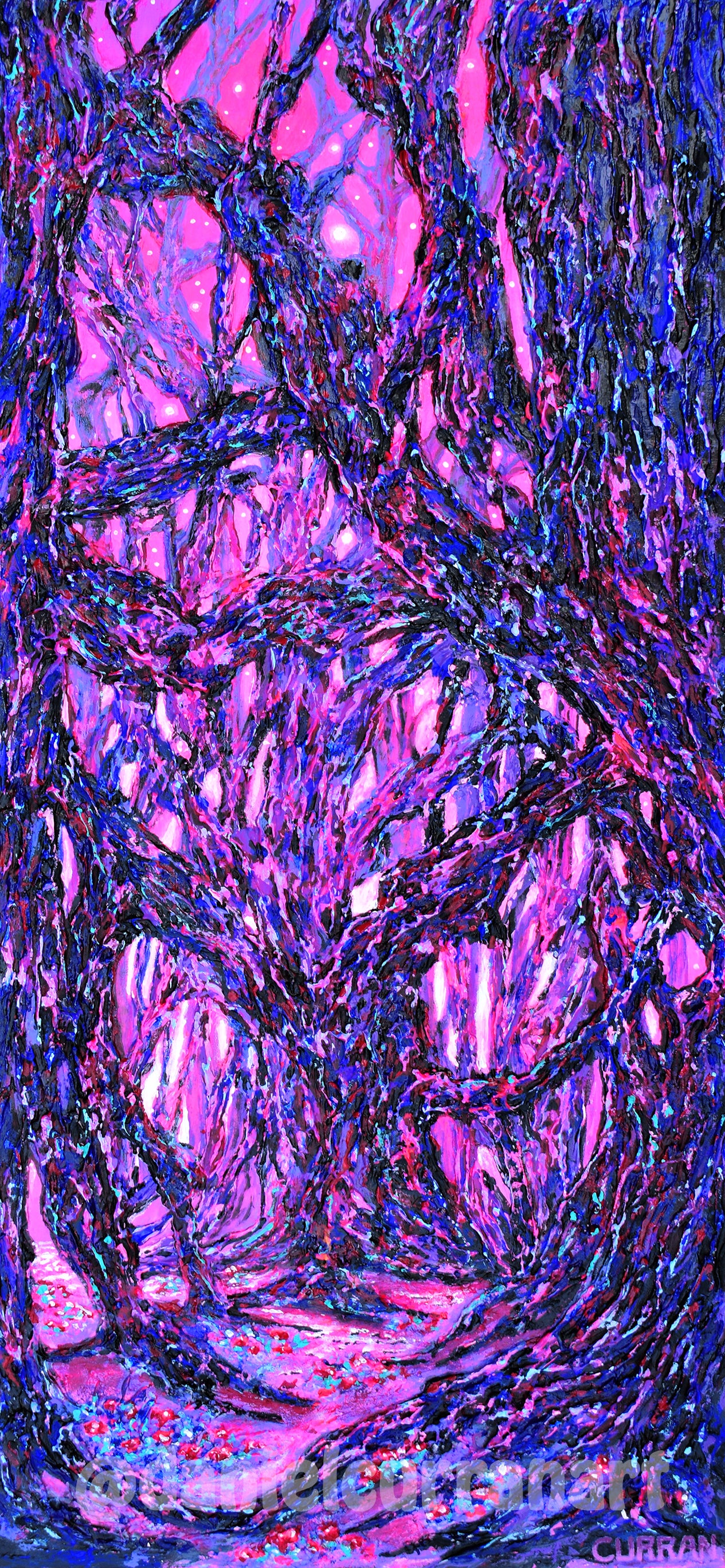 Where the Light Sleeps