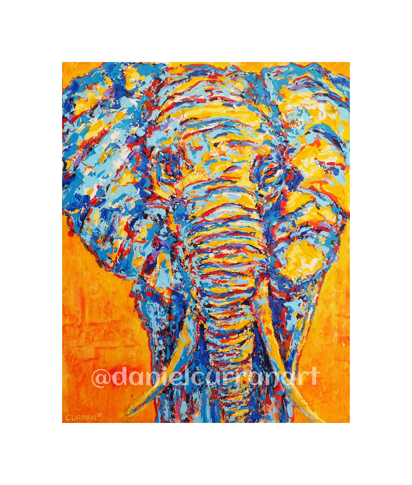 8"x 10" Elephant (Matted) - Daniel Curran Art