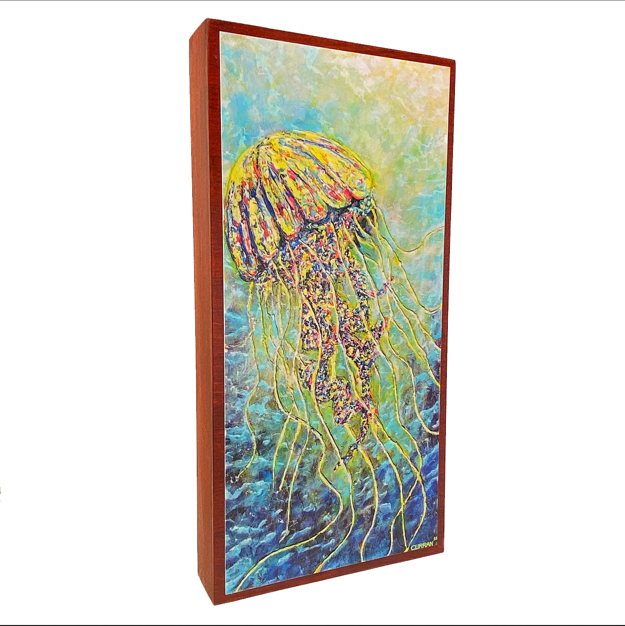 Jellyfish on Wood Panel (Limited Edition) - Daniel Curran Art