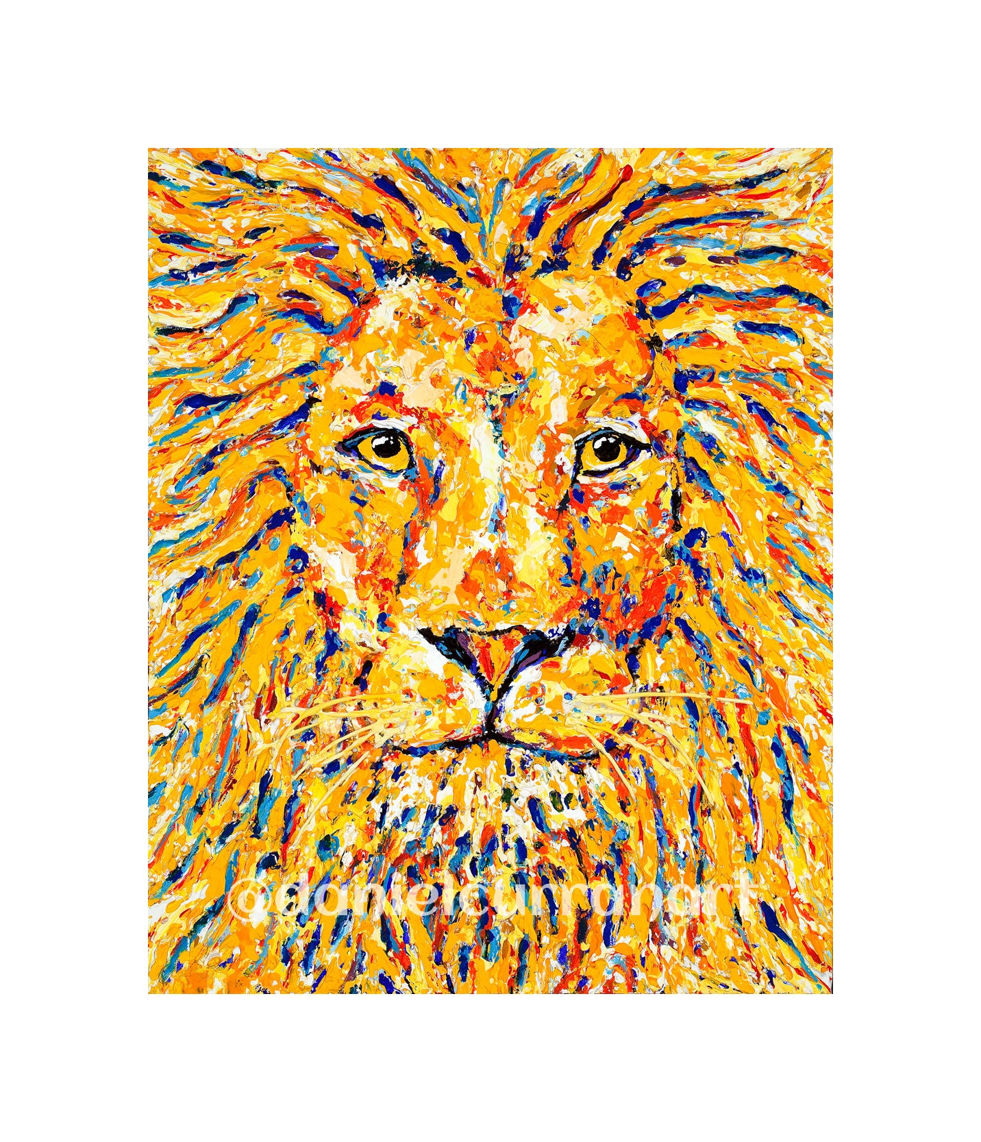 8"x 10" Lion (Matted) - Daniel Curran Art